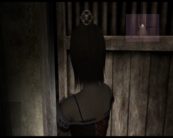 Project Zero 2: Wii Edition Screenshot 8 (Nintendo Wii (EU Version))