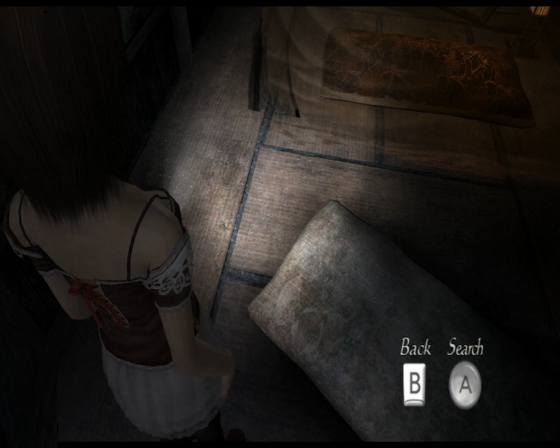 Project Zero 2: Wii Edition Screenshot 21 (Nintendo Wii (EU Version))