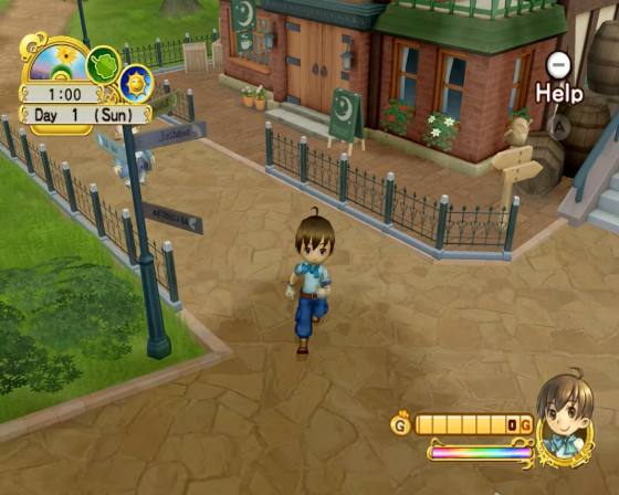 Harvest Moon: Tree Of Tranquility Screenshot 28 (Nintendo Wii (EU Version))