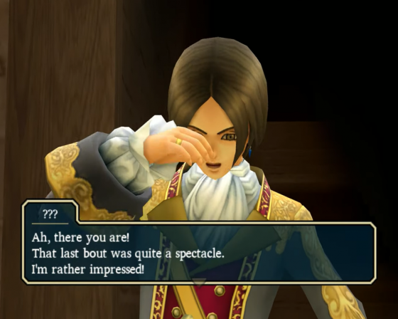 Dragon Quest Swords: The Masked Queen And The Tower of Mirrors Screenshot 10 (Nintendo Wii (US Version))