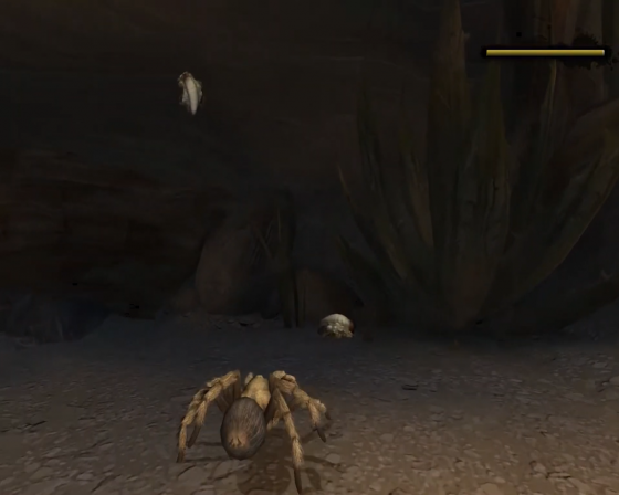 Deadly Creatures Screenshot 6 (Nintendo Wii (US Version))