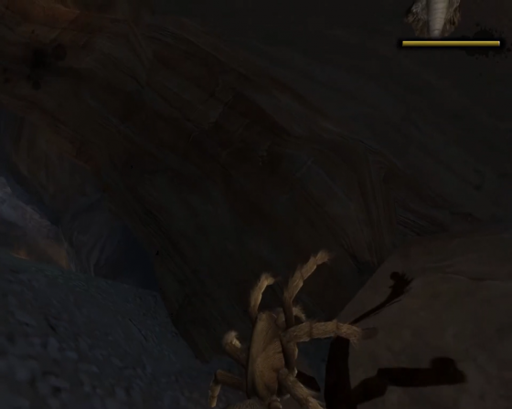 Deadly Creatures Screenshot 7 (Nintendo Wii (US Version))