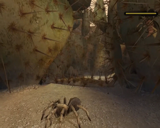 Deadly Creatures Screenshot 20 (Nintendo Wii (US Version))