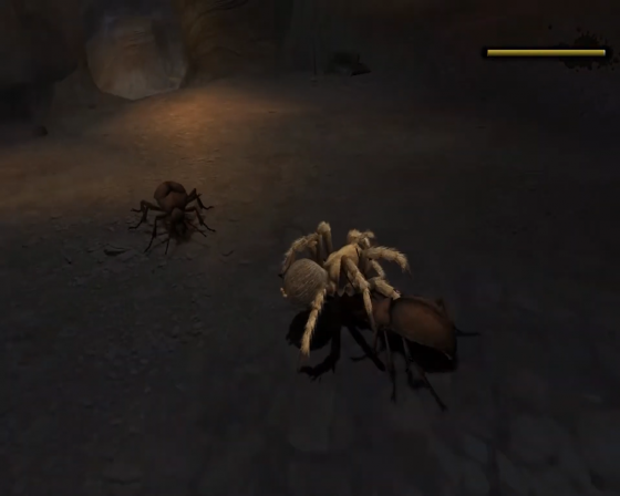 Deadly Creatures Screenshot 23 (Nintendo Wii (US Version))