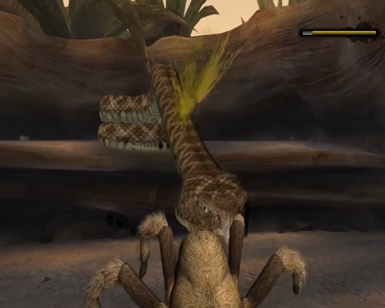 Deadly Creatures Screenshot 32 (Nintendo Wii (US Version))