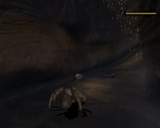 Deadly Creatures Screenshot 39 (Nintendo Wii (US Version))