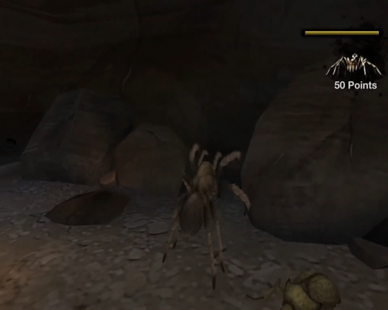 Deadly Creatures Screenshot 44 (Nintendo Wii (US Version))