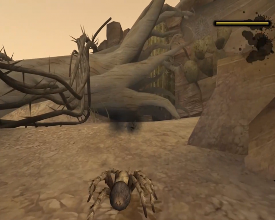 Deadly Creatures Screenshot 50 (Nintendo Wii (US Version))