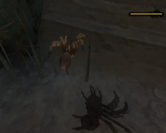 Deadly Creatures Screenshot 51 (Nintendo Wii (US Version))