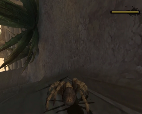 Deadly Creatures Screenshot 52 (Nintendo Wii (US Version))