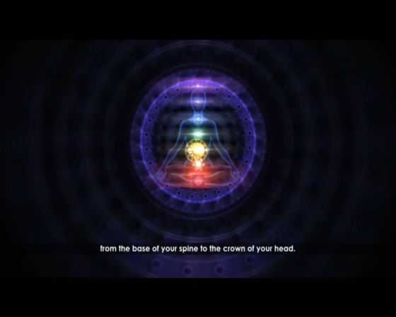 Deepak Chopra's Leela Screenshot 37 (Nintendo Wii (US Version))