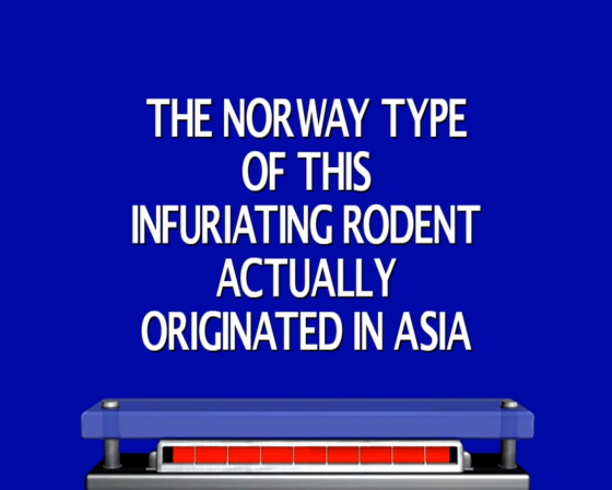 Jeopardy! Screenshot 7 (Nintendo Wii (US Version))