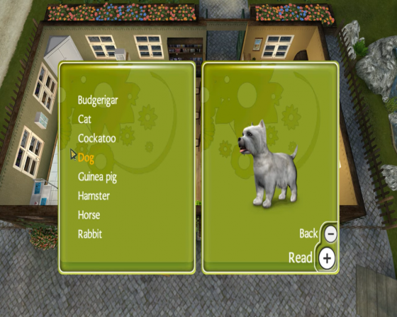 Paws & Claws Pet Vet Screenshot 31 (Nintendo Wii (US Version))