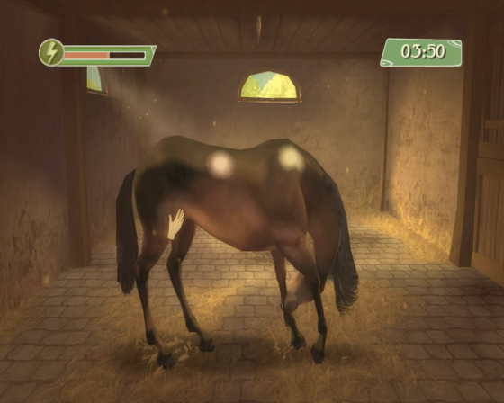 Petz: Horsez 2 Screenshot 13 (Nintendo Wii (US Version))