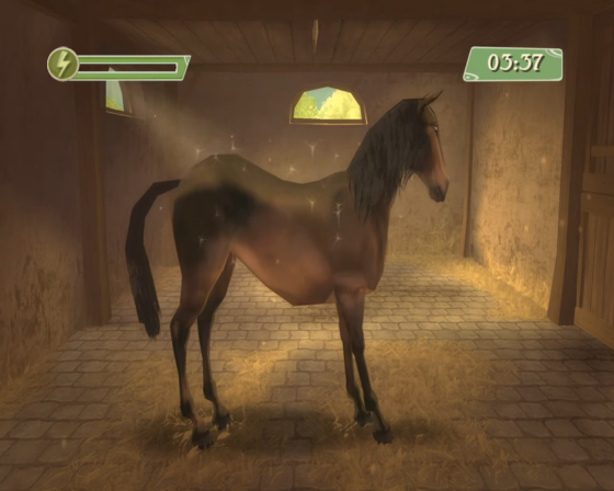 Petz: Horsez 2 Screenshot 15 (Nintendo Wii (US Version))