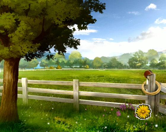 Horse Life Adventures Screenshot 6 (Nintendo Wii (US Version))