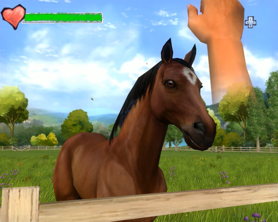 Horse Life Adventures Screenshot 12 (Nintendo Wii (US Version))