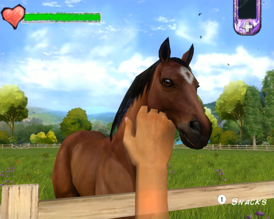 Horse Life Adventures Screenshot 14 (Nintendo Wii (US Version))