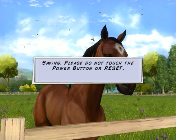 Horse Life Adventures Screenshot 15 (Nintendo Wii (US Version))