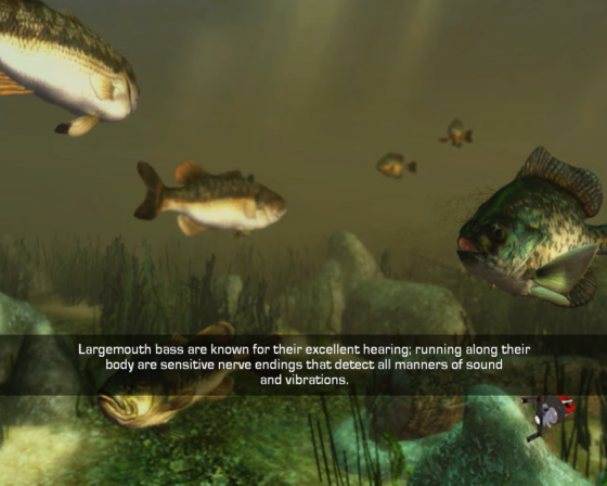 Kevin Van Dam's Big Bass Challenge Screenshot 33 (Nintendo Wii (US Version))