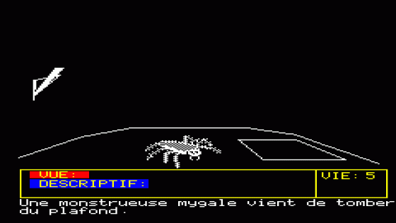 Le Diamant De L'Ile Maudite Screenshot 6 (Oric 48K/Atmos)