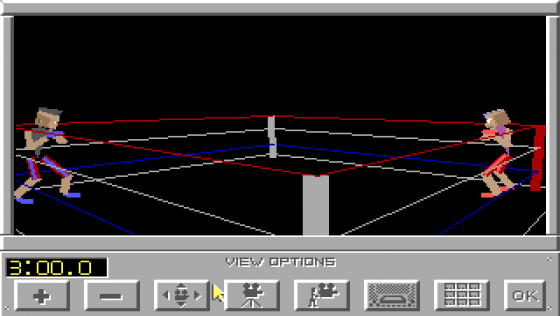 4-D Boxing Screenshot 5 (PC98)