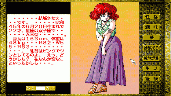 48 Night Story Screenshot 18 (PC98)