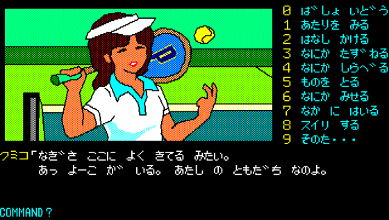 Karuizawa Yūkai Annai Screenshot 9 (PC-88)