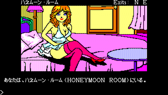 Las Vegas Screenshot 21 (PC-88)