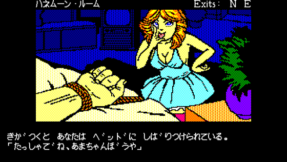 Las Vegas Screenshot 22 (PC-88)