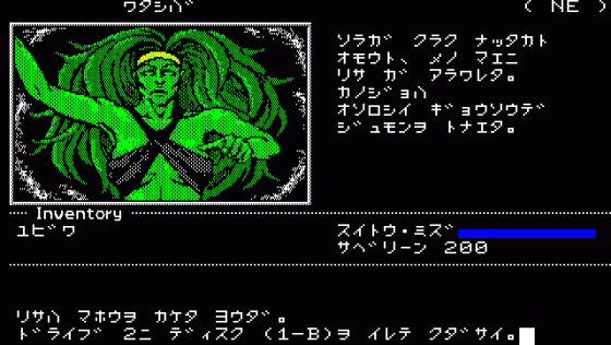 Ring Quest Screenshot 7 (PC-88)