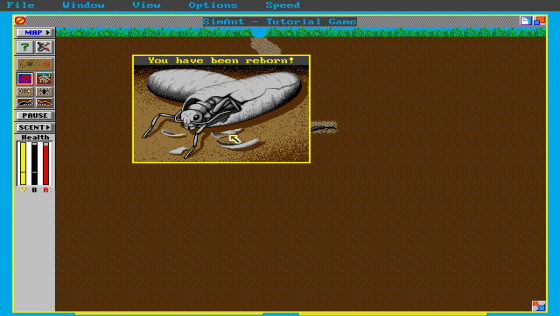 SimAnt Screenshot 9 (PC (MS-DOS))