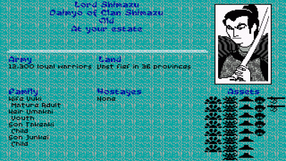 Sword Of The Samurai Screenshot 12 (PC (MS-DOS))