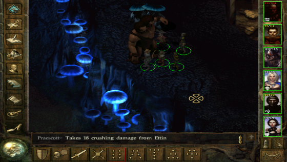 Icewind Dale Screenshot 31 (PC (Steam))