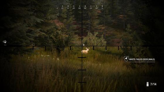 Hunting Simulator 2 Screenshot 6 (PC (Windows))