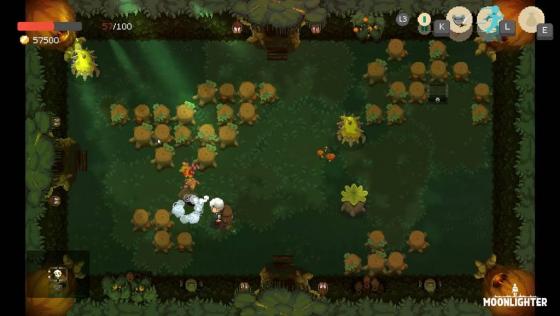 Moonlighter Screenshot 12 (PC (Windows))