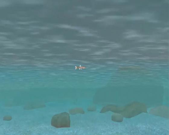 Harvest Fishing Screenshot 12 (PlayStation 2 (EU Version))