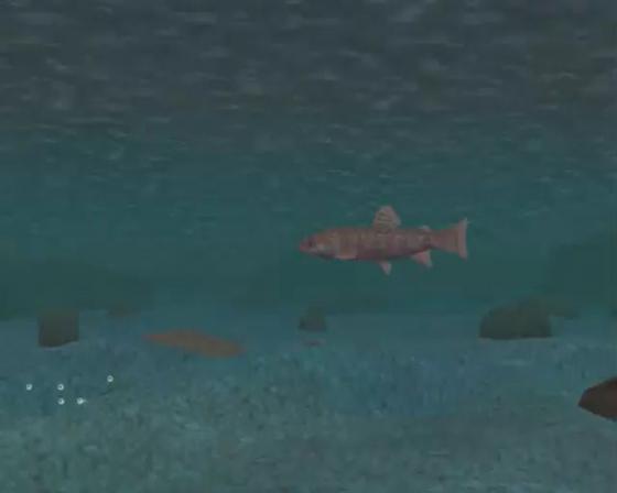 Harvest Fishing Screenshot 17 (PlayStation 2 (EU Version))