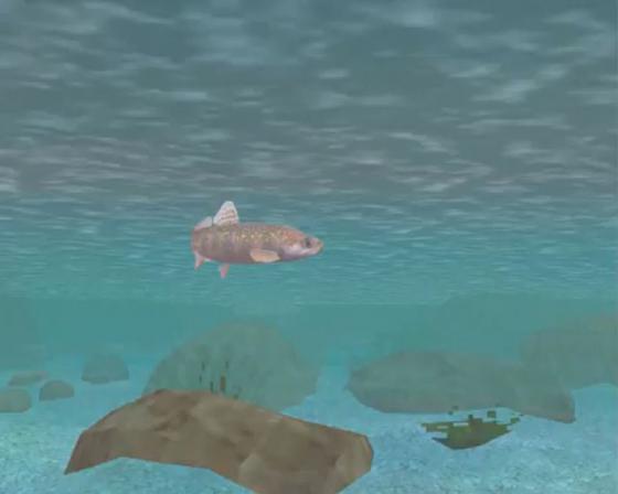 Harvest Fishing Screenshot 18 (PlayStation 2 (EU Version))