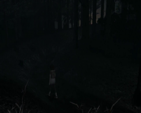 Fatal Frame II: Crimson Butterfly Screenshot 27 (PlayStation 2 (US Version))