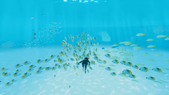 ABZU Screenshot 33 (PlayStation 4 (US Version))