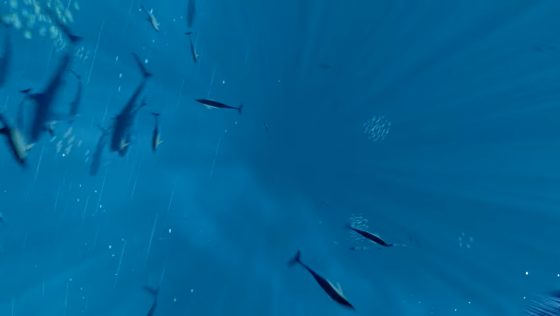 ABZU Screenshot 42 (PlayStation 4 (US Version))