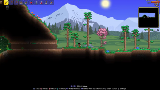 Terraria Screenshot 16 (PlayStation 4 (EU Version))