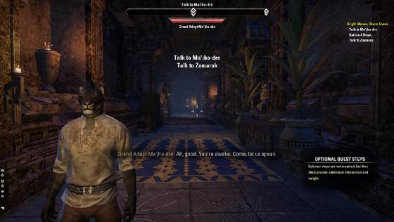 The Elder Scrolls Online: Elsweyr Screenshot 46 (PlayStation 4 (EU Version))