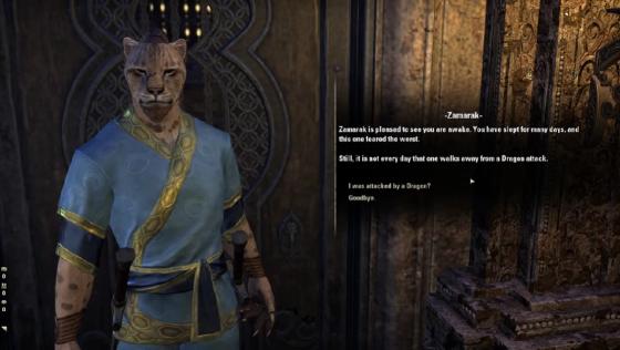 The Elder Scrolls Online: Elsweyr Screenshot 48 (PlayStation 4 (EU Version))