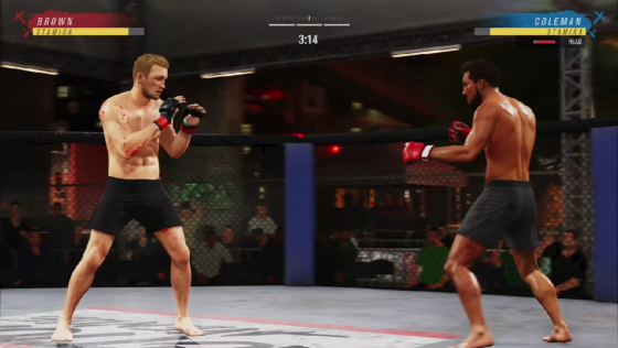 UFC Screenshot 13 (PlayStation 4 (EU Version))