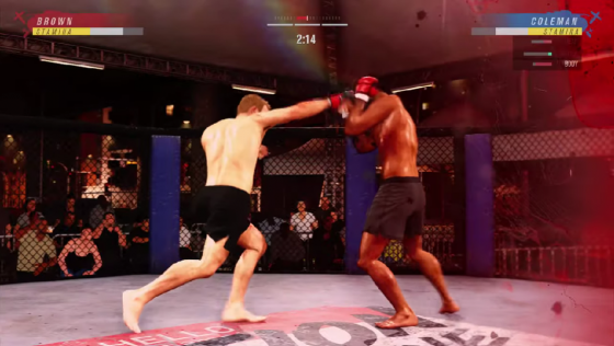 UFC Screenshot 19 (PlayStation 4 (EU Version))