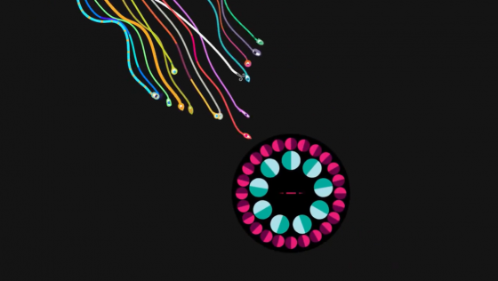 Hohokum Screenshot 5 (PlayStation 4 (EU Version))