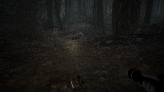 Blair Witch Screenshot 45 (PlayStation 4 (EU Version))