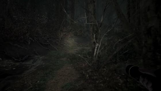 Blair Witch Screenshot 46 (PlayStation 4 (EU Version))